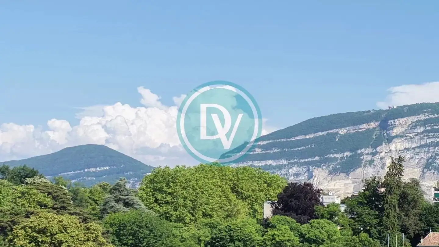 Penthouse kaufen - 1227 Carouge GE - Foto 2