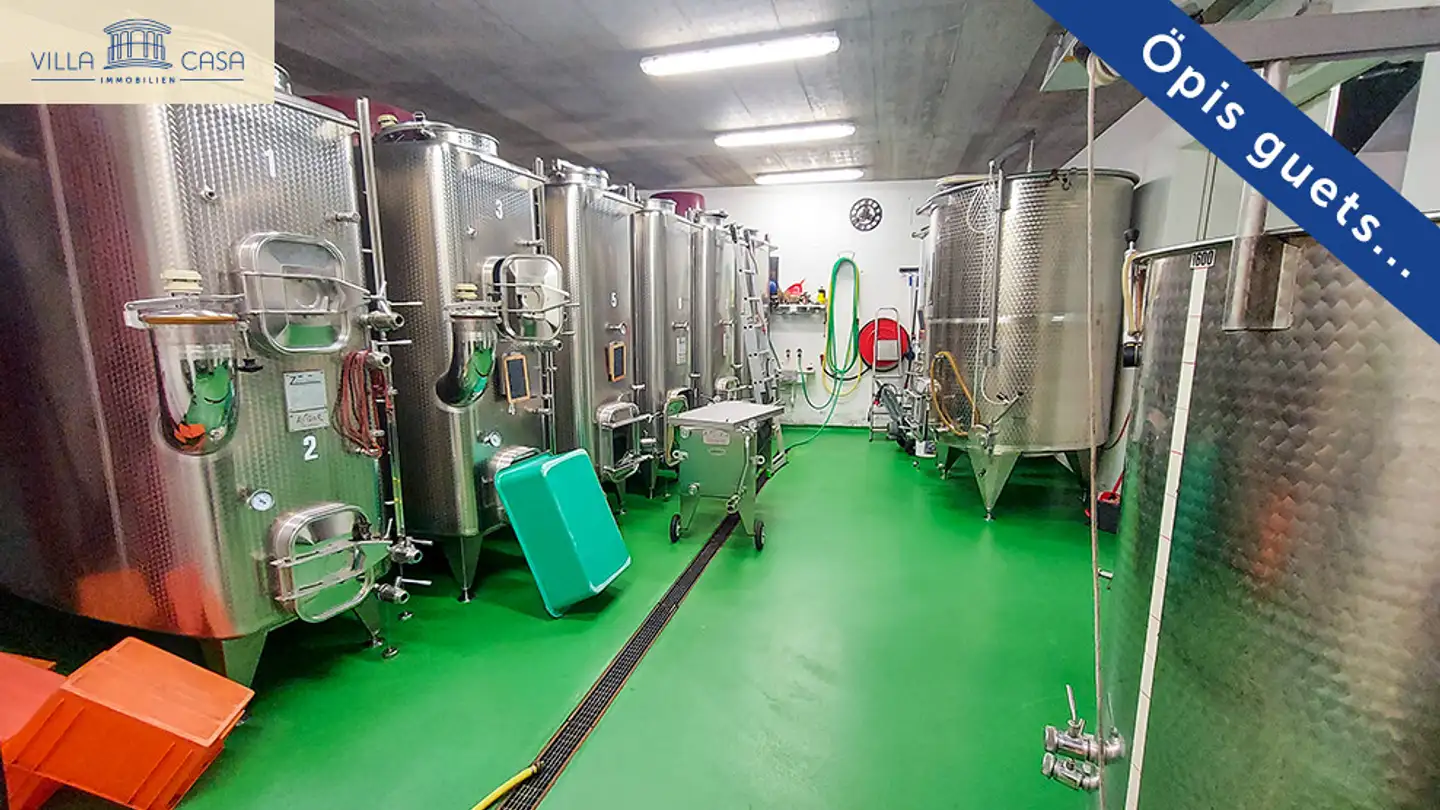 Edificio ad uso misto in vendita - Rebbergstrasse 16, 3953 Varen - Foto 4