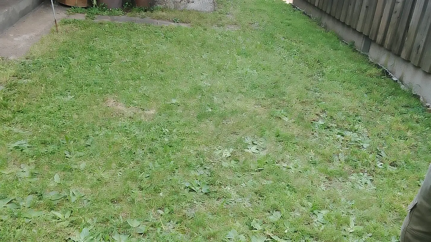 Casa singola in vendita - Via Mairengo, 6763 Mairengo - Photo 3