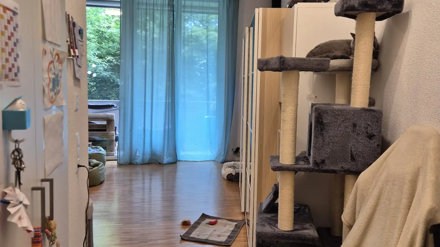 Wohnung mieten - 8152 Glattbrugg