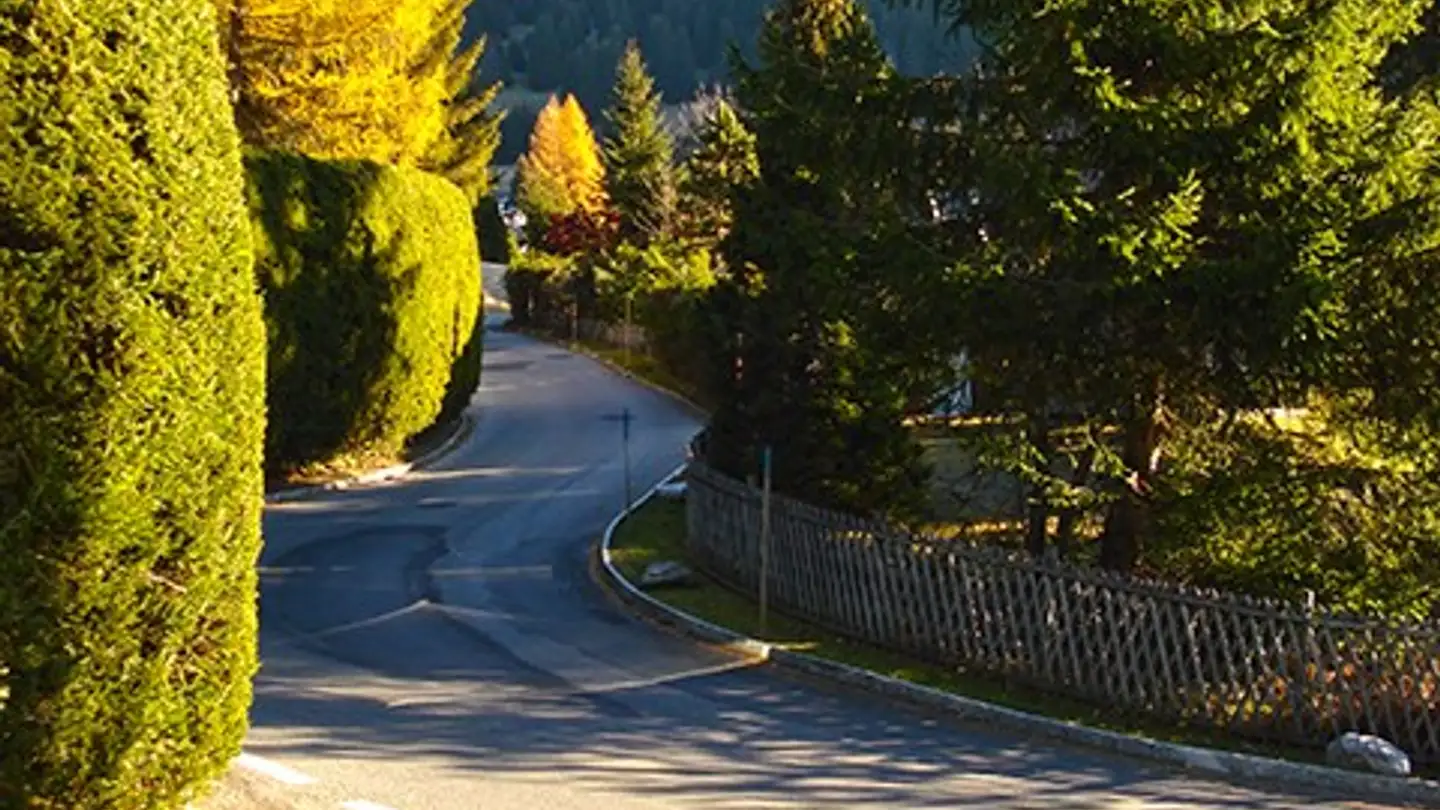 Chalet à vendre - 1884 Villars-sur-Ollon - Photo 3