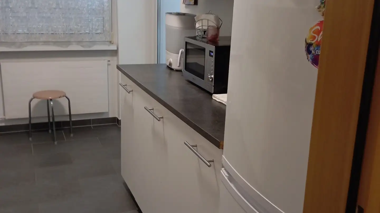 Appartamento in affitto - 8242 Bibern SH - Photo 2