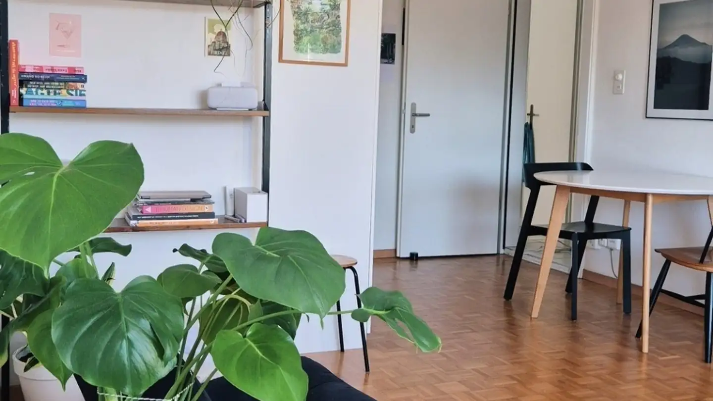 Wohnung mieten - 6003 Luzern