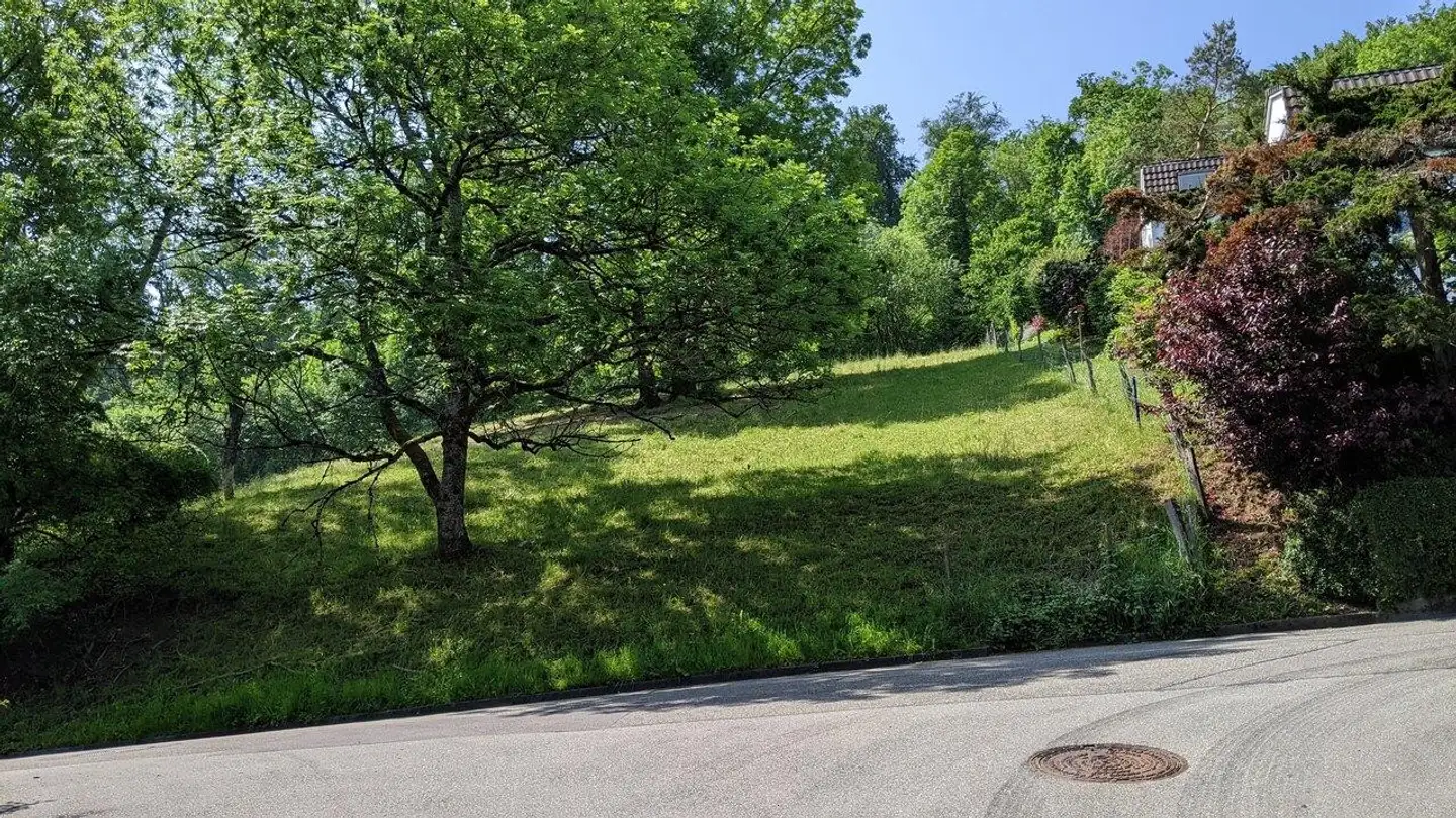 Bauland kaufen - Bergmattenweg, 4148 Pfeffingen - Foto 4