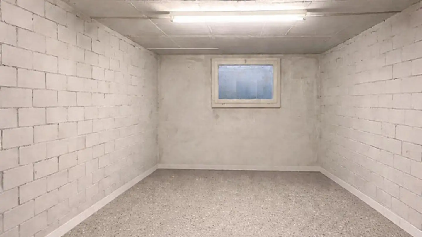 Espace de stockage à louer - Goldschmiedstrasse 9, 8102 Oberengstringen - Photo 2