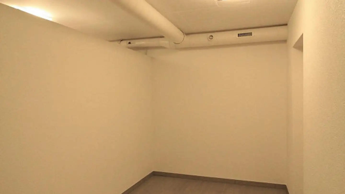 Commercial for rent - Kleine Seite 6, 4208 Nunningen - Photo 3
