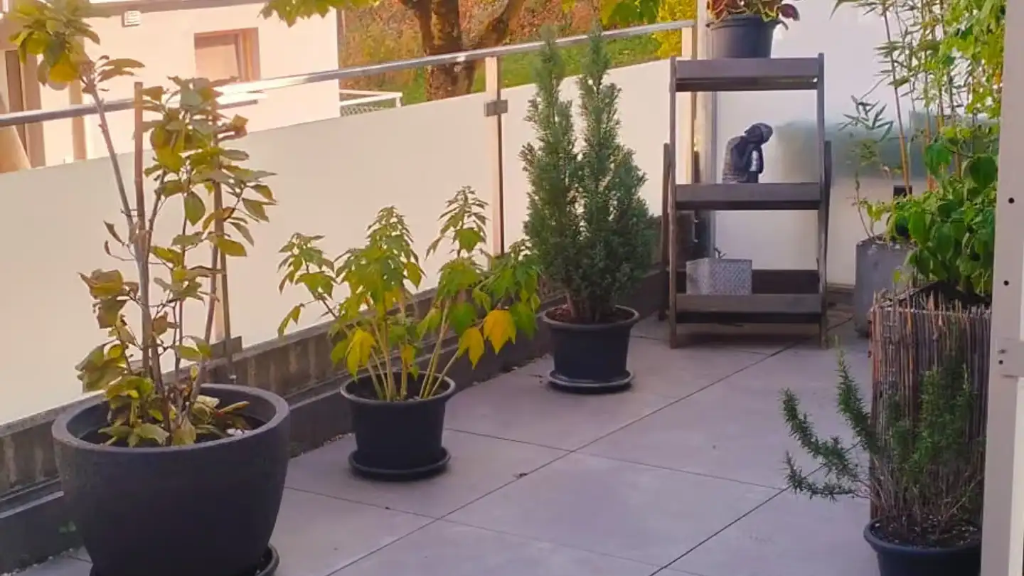 Appartement à louer - 2022 Bevaix