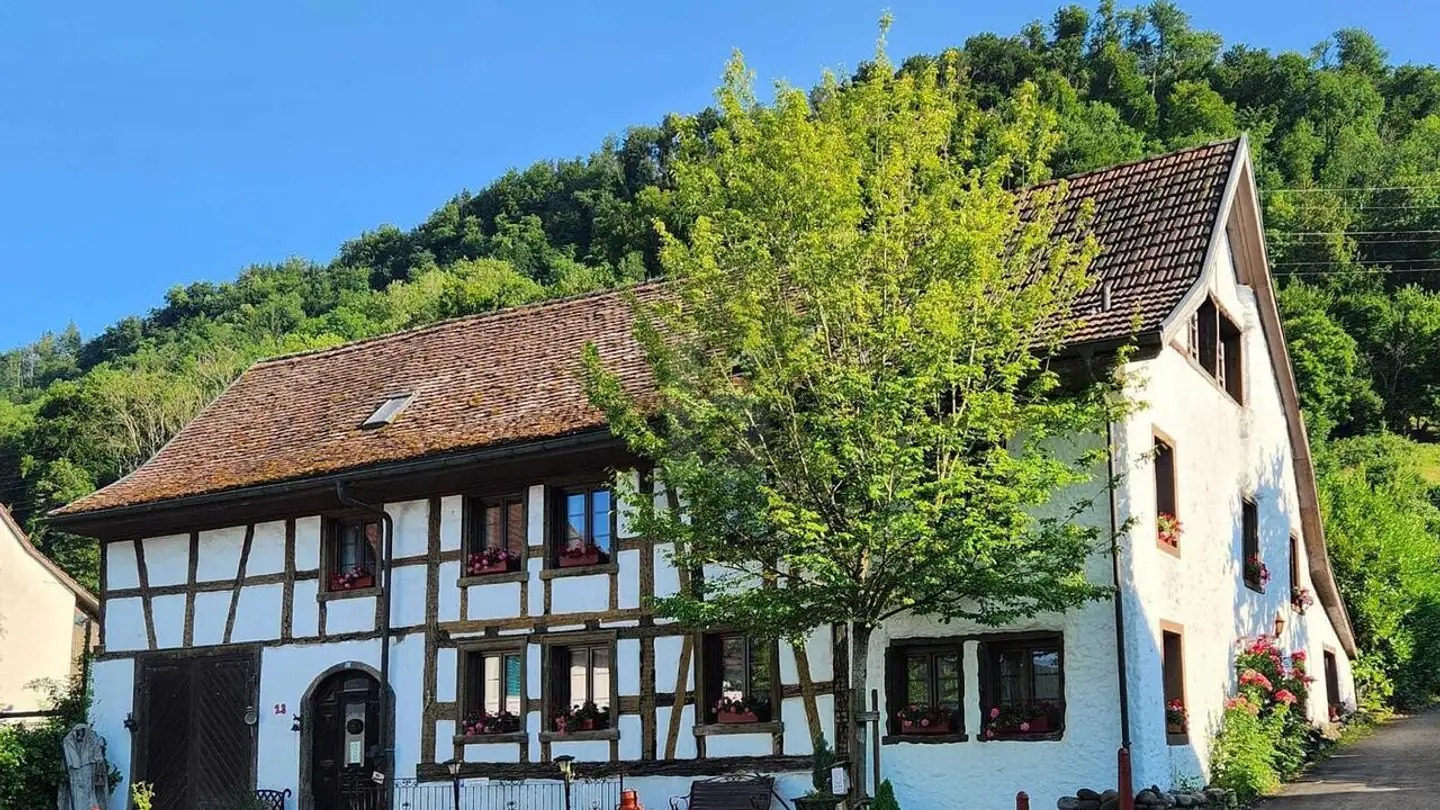 Bauernhof kaufen - 5332 Rekingen AG