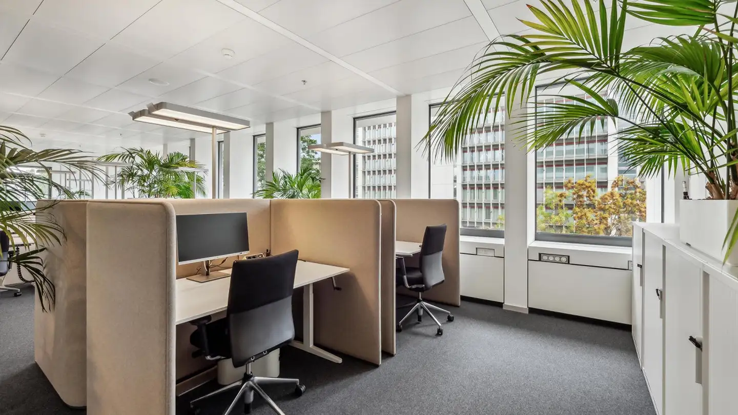 Bürofläche mieten - Lichtstrasse 35, 4056 Basel - Foto 2