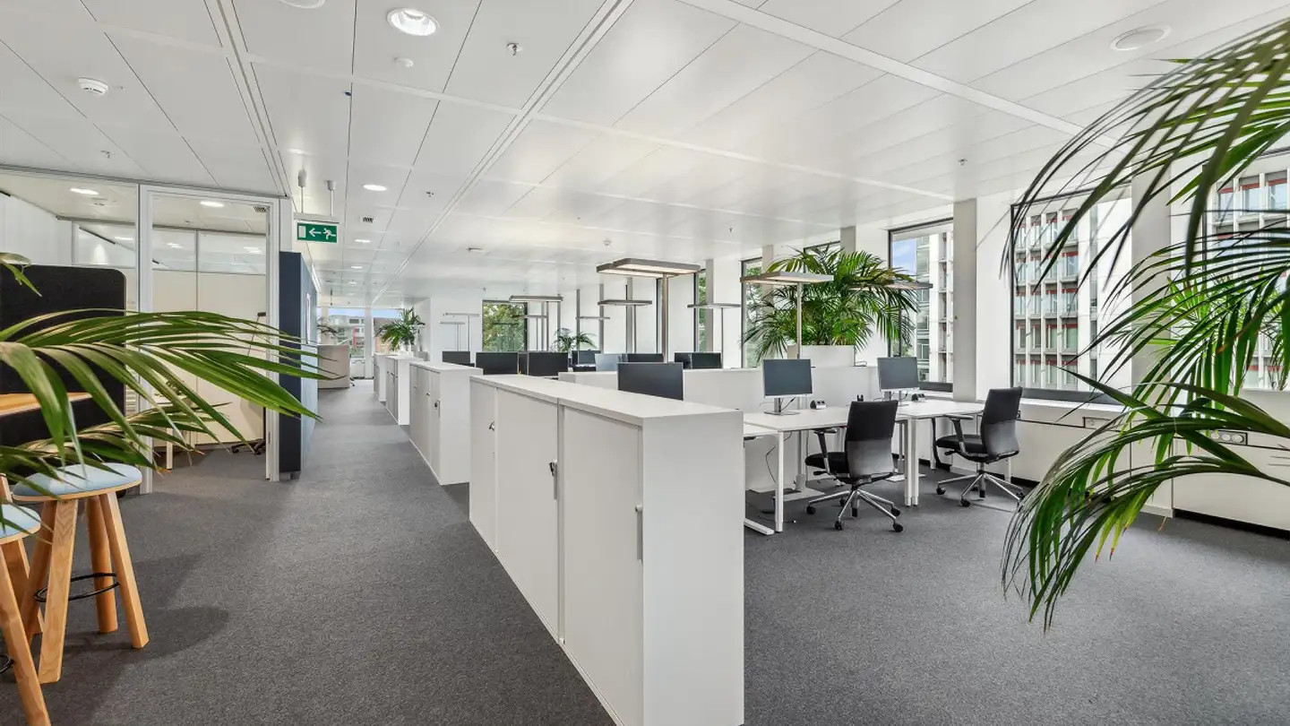 Bürofläche mieten - Lichtstrasse 35, 4056 Basel - Foto 3