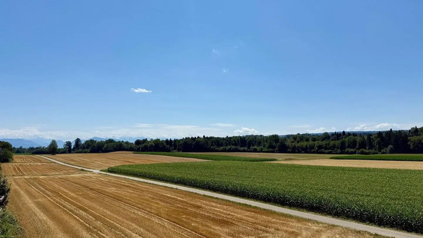 Attico in affitto - Allmendstrasse 5, 5621 Zufikon
