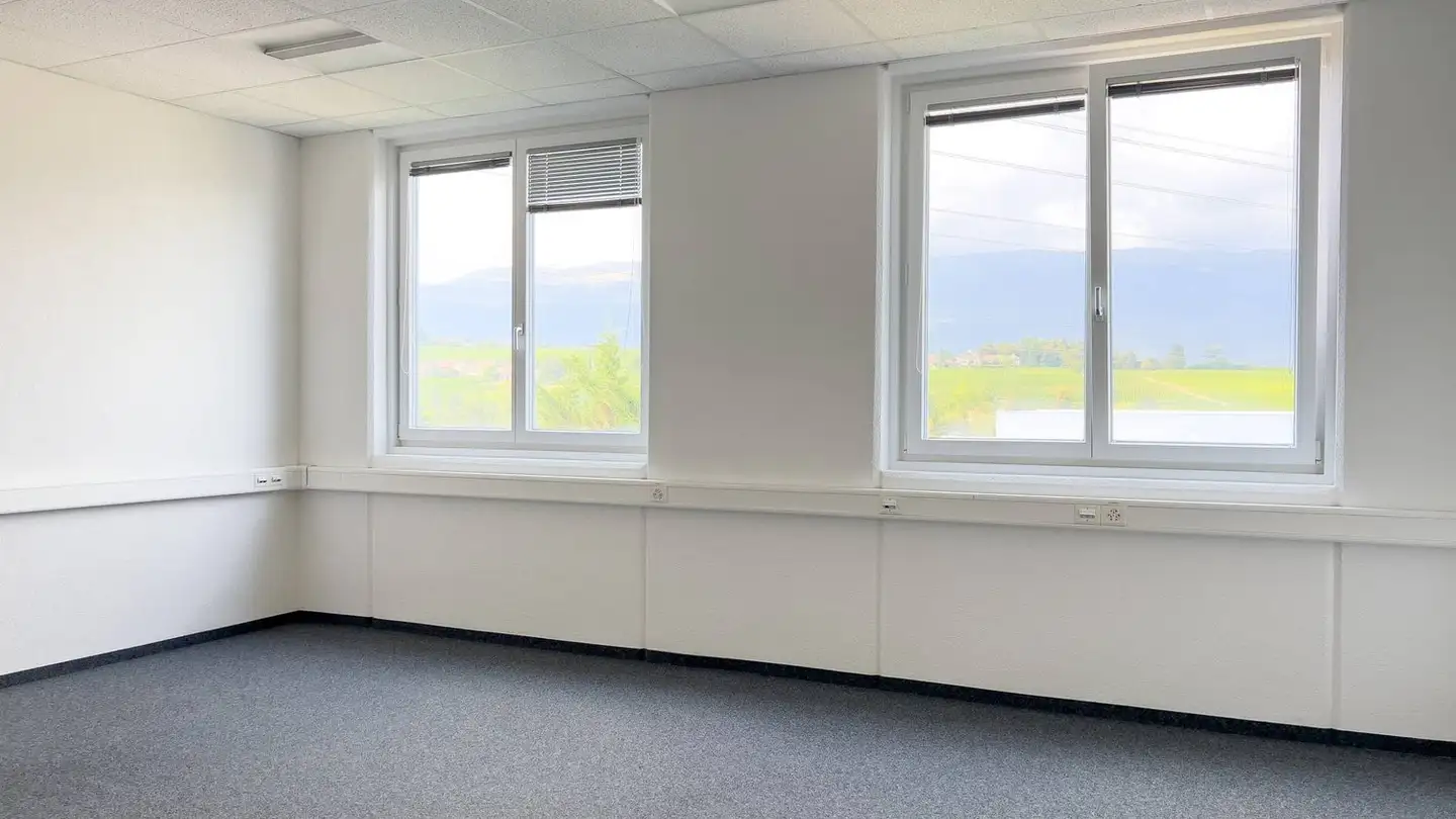 Bureau à louer - Rue Du Pré-De-La-Fontaine 19, 1242 Satigny - Photo 2