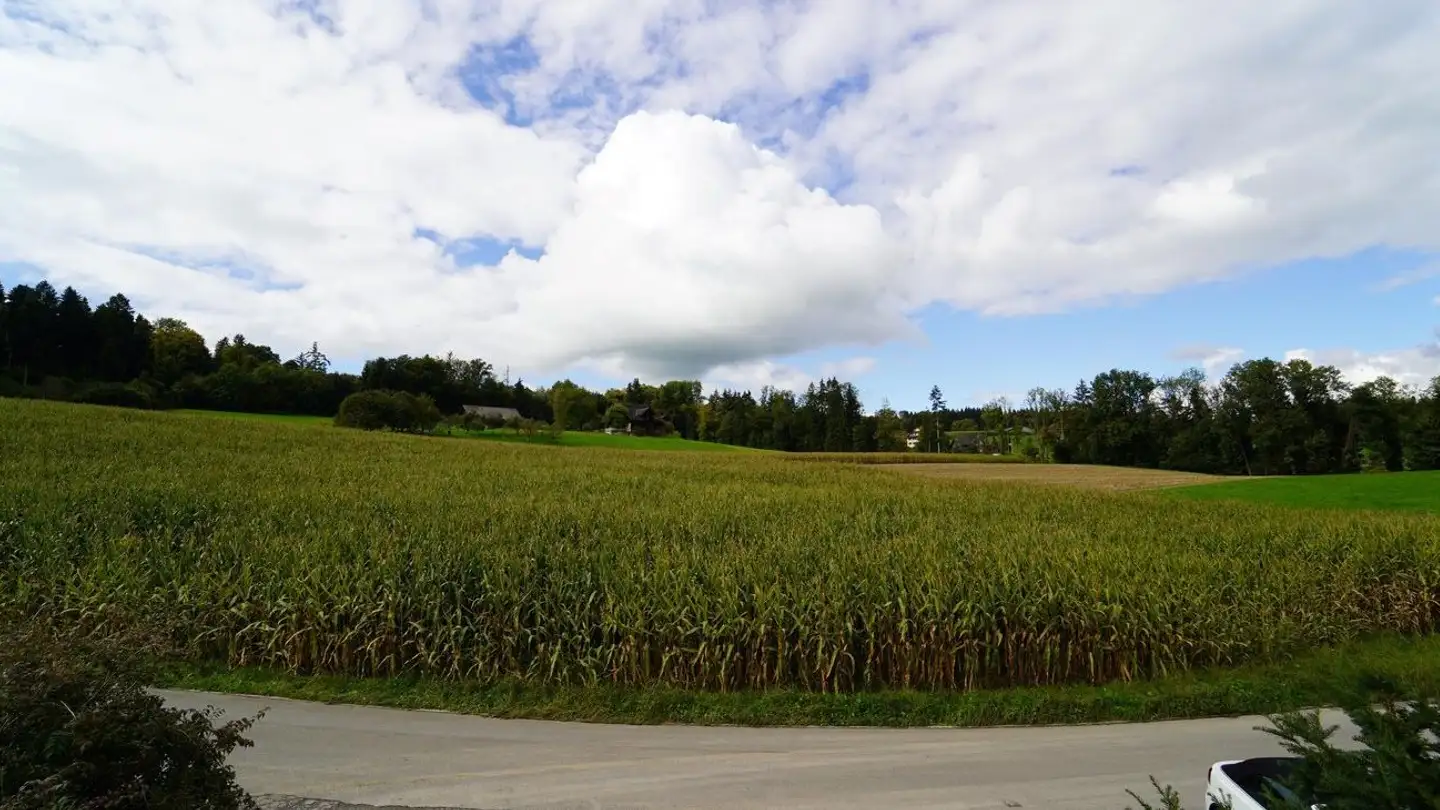Appartamento in affitto - Buholzstrasse 5, 6042 Dietwil