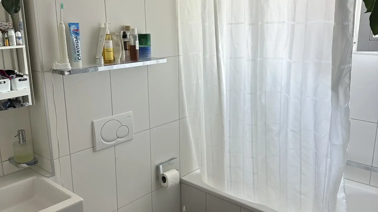 Furnished apartment for rent - Willadingweg 34a, 3006 Bern - Photo 3