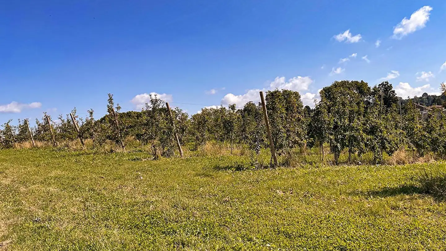 Villa for sale - 1052 Le Mont-sur-Lausanne - Photo 3