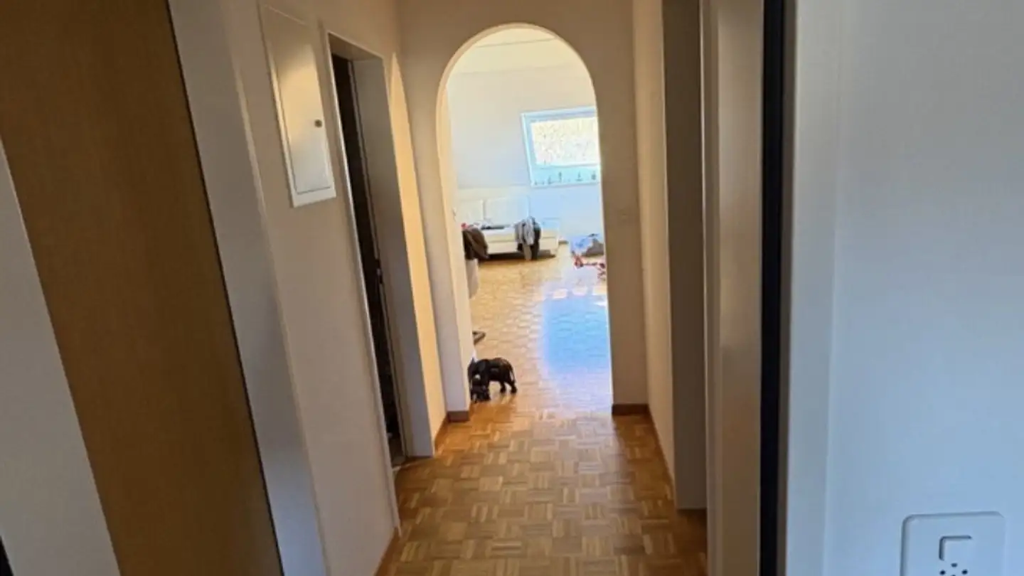 Zimmer mieten - 8604 Volketswil - Foto 3