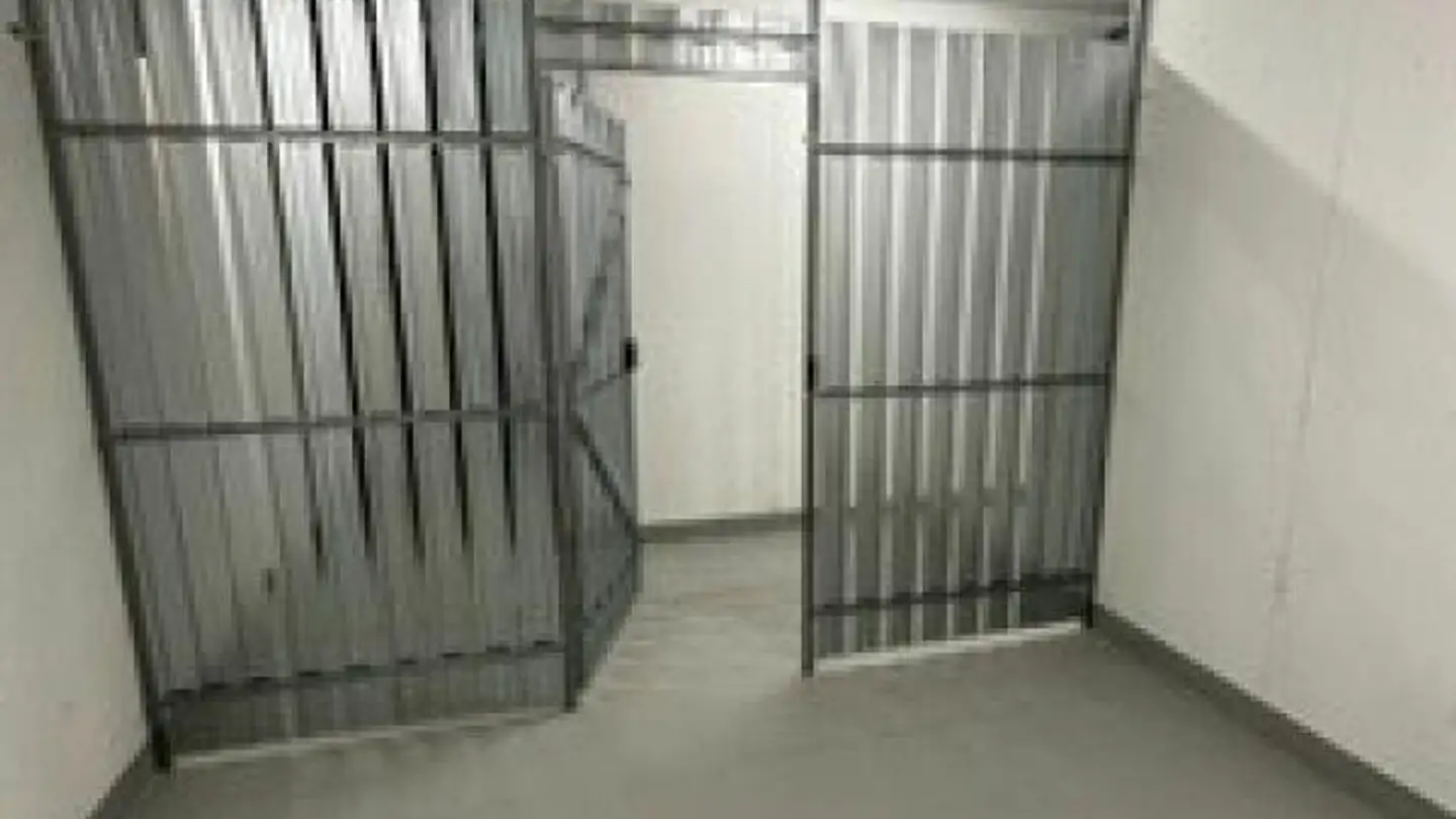 Espace de stockage à louer - Rorschacherstrasse 24a, 9424 Rheineck - Photo 3