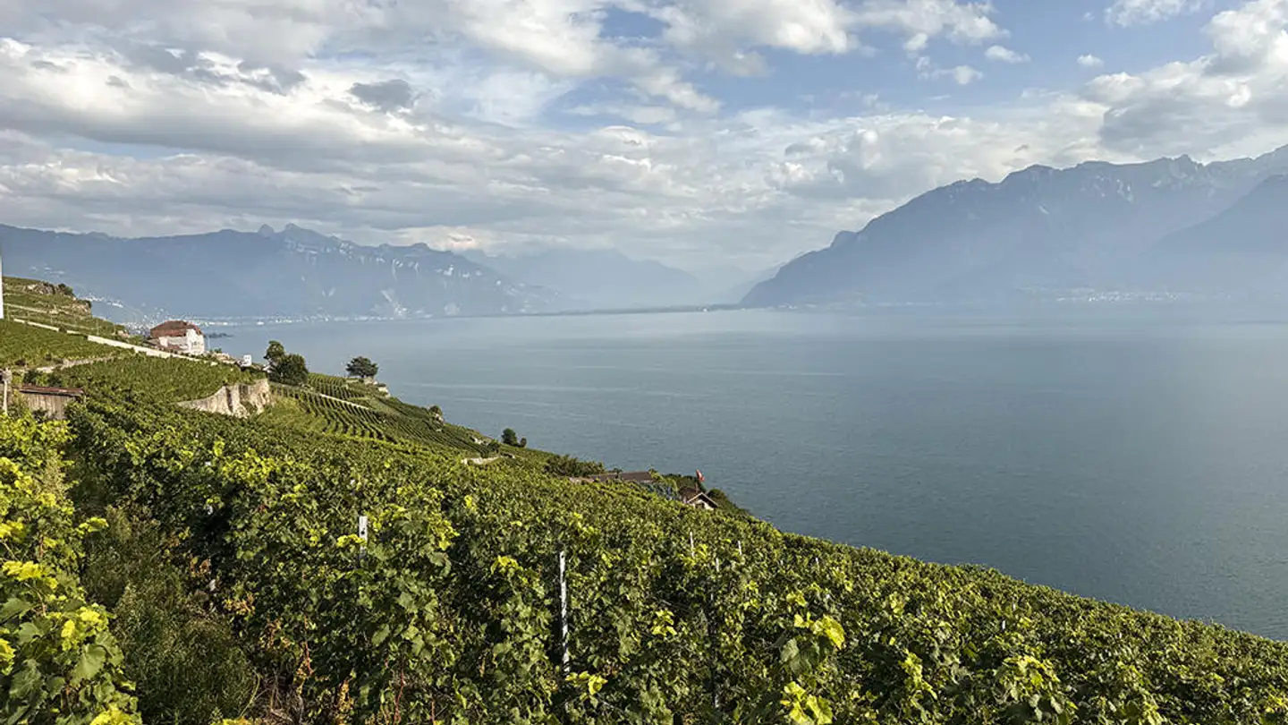 Appartamento in vendita - 1071 Chexbres - Foto 2