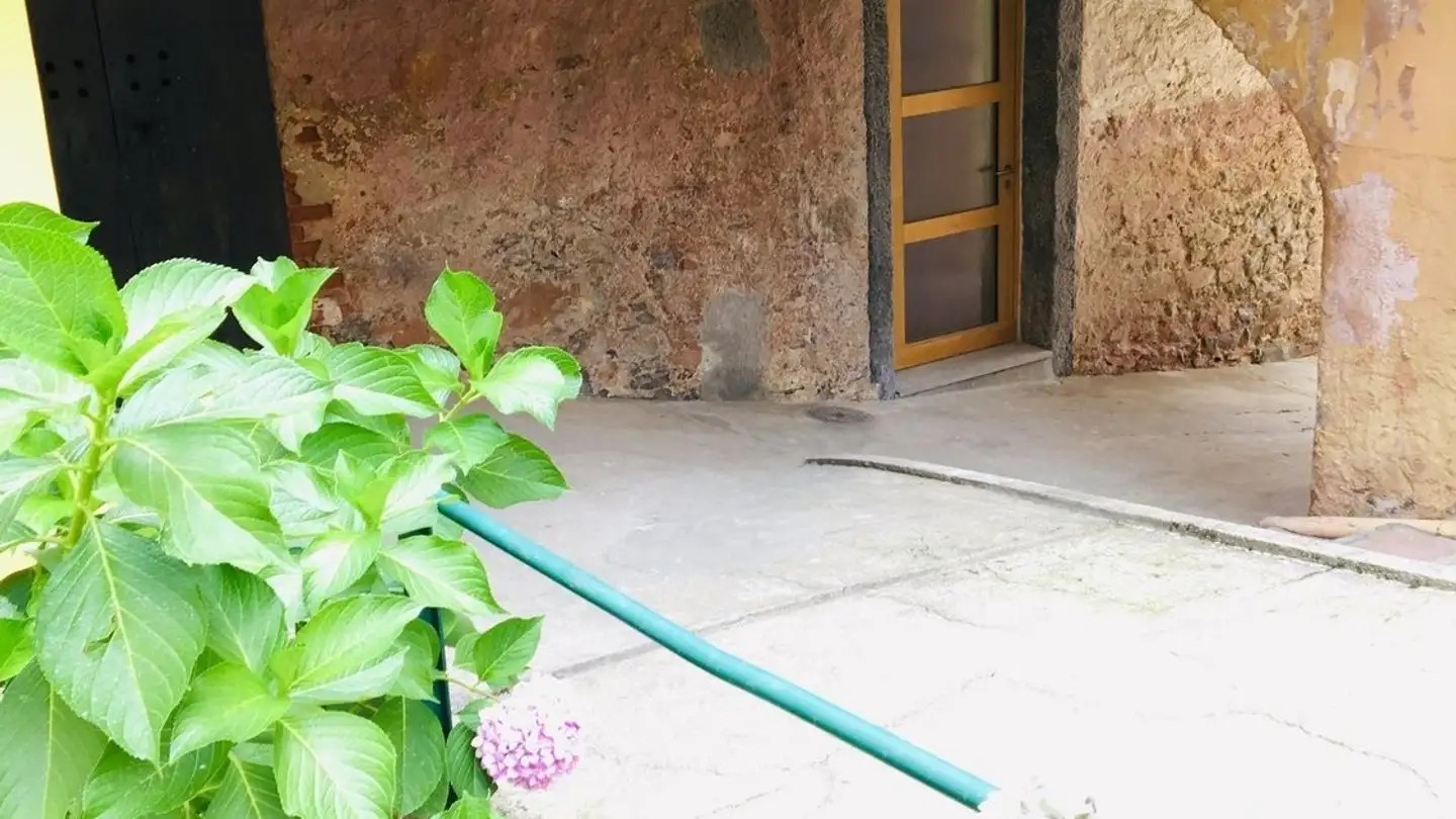 Appartement à louer - Passo Filanda 1, 6986 Curio - Photo 3