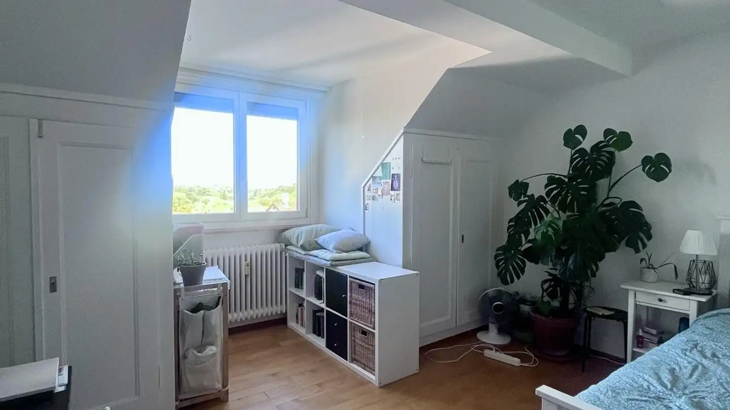 Stanza singola in affitto - Roschistrasse 9, 3007 Bern