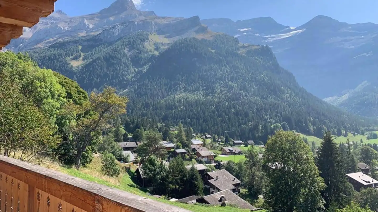 Appartement à louer - Chemin De La Retraite 24, 1865 Les Diablerets - Photo 3