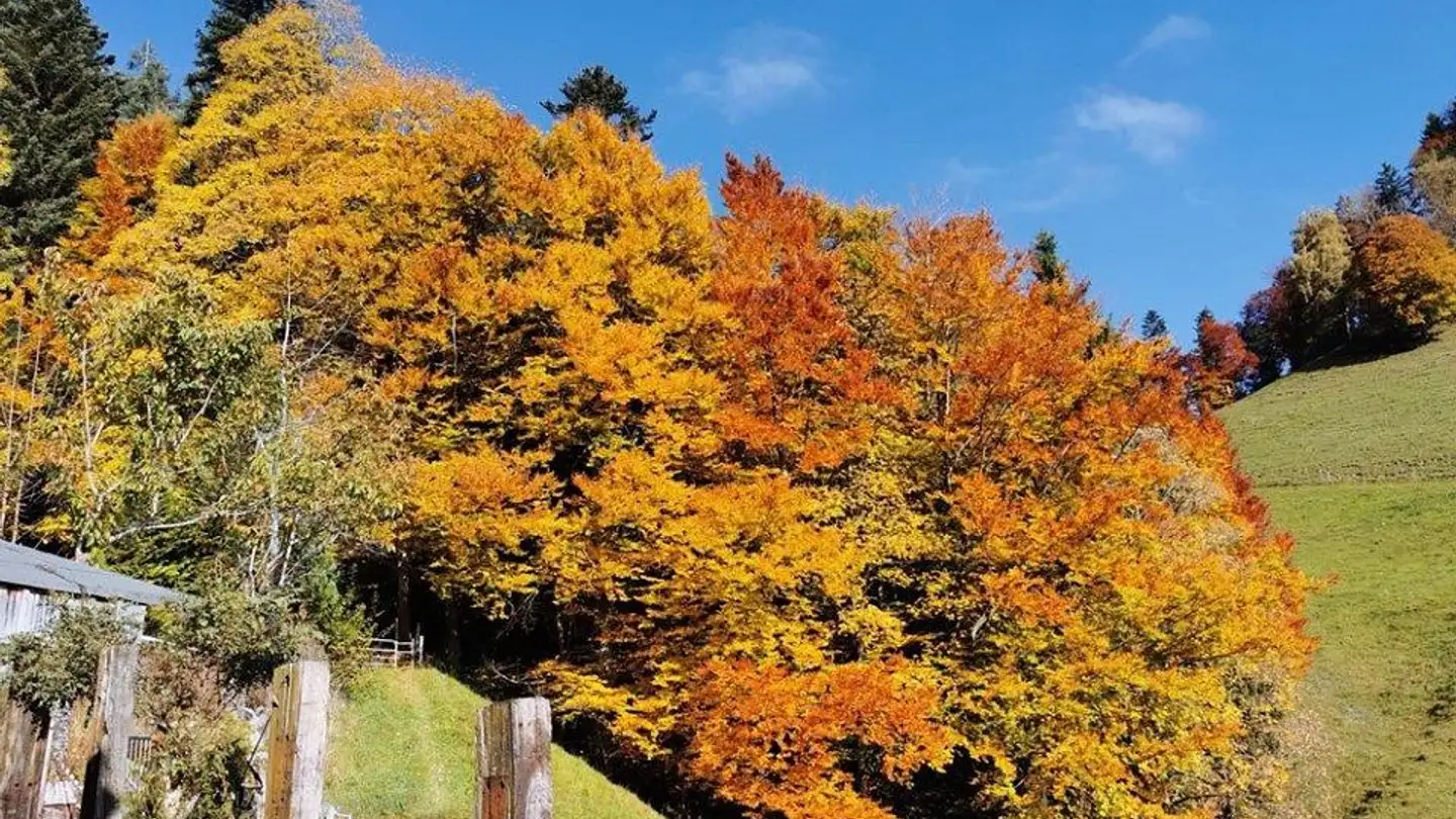 Casa singola in vendita - 9115 Dicken - Photo 3