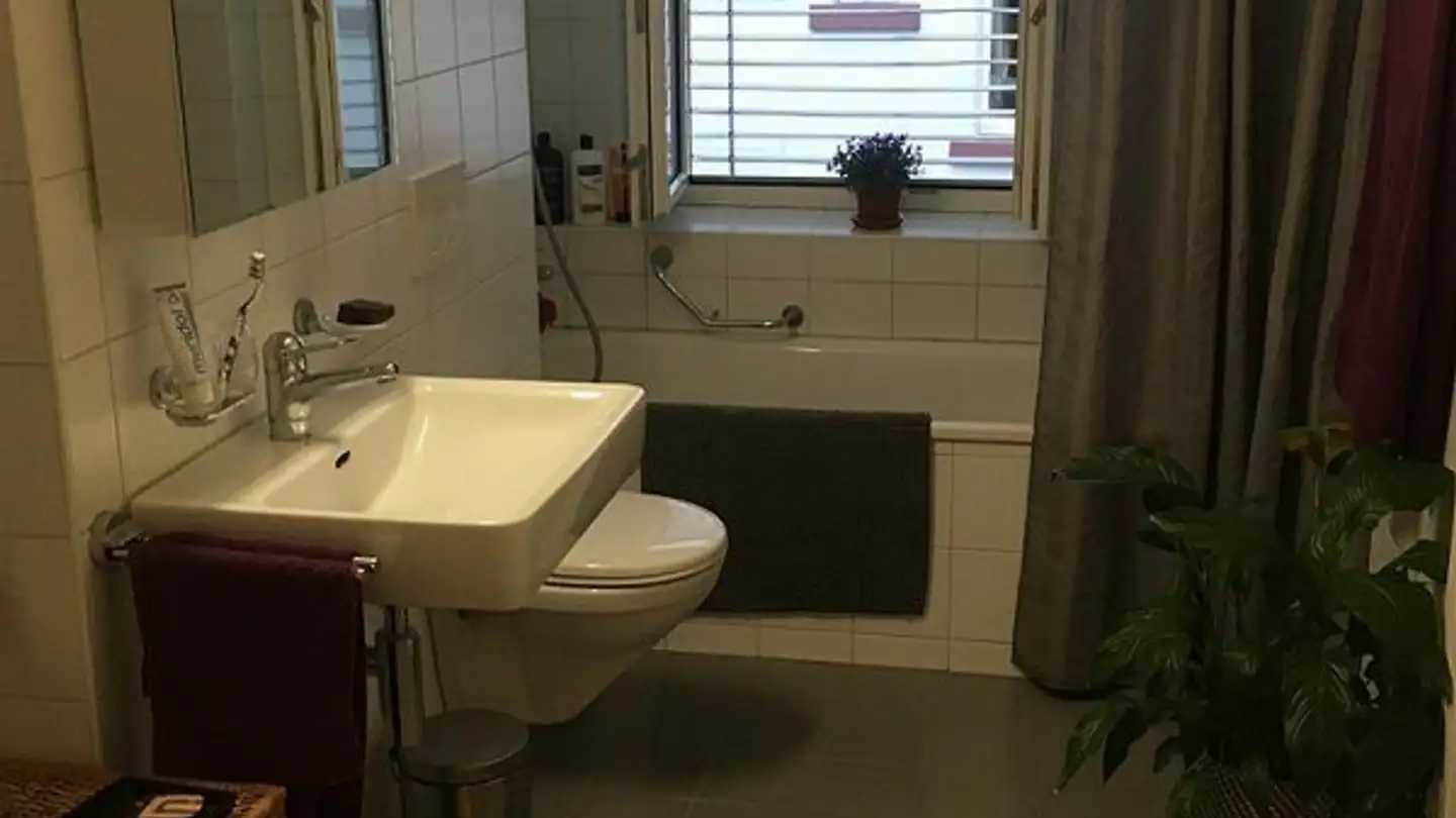 Appartamento in affitto - 4051 Basel - Photo 2