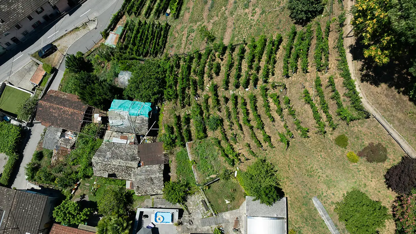 Constructible plot for sale - Via Burio, 6596 Gordola