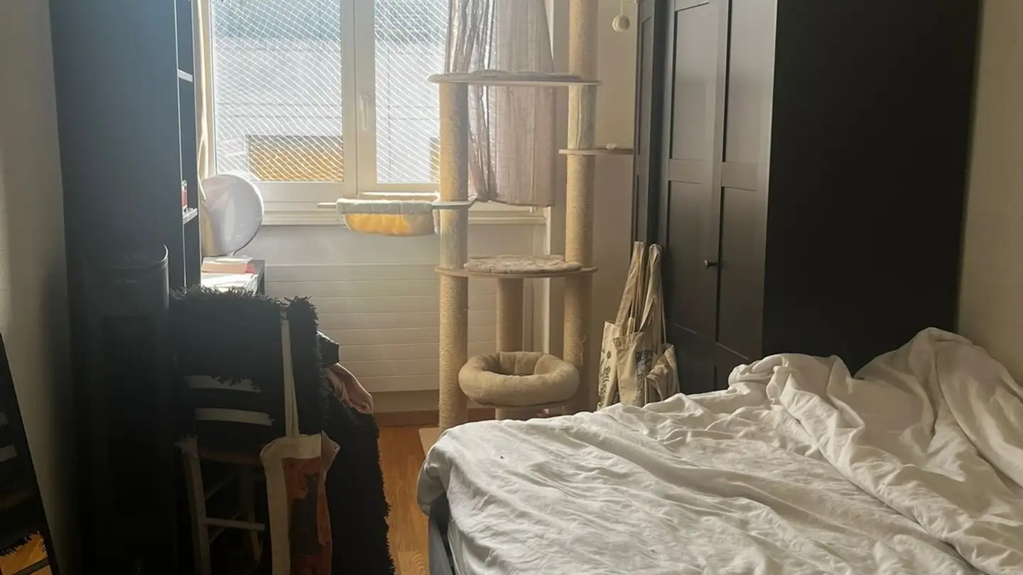 Stanza singola in affitto - 1205 Genève - Photo 3