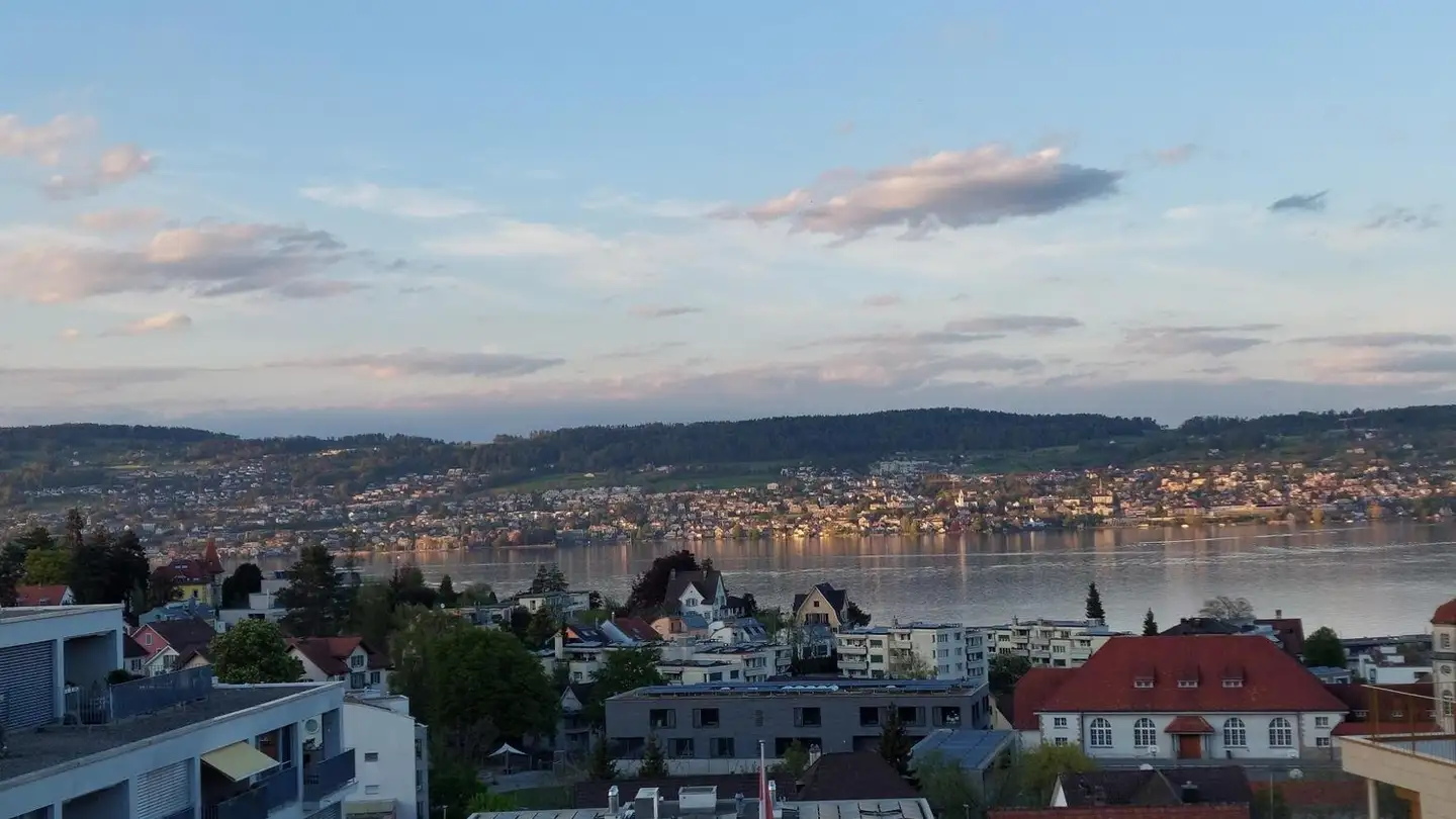 Appartamento in affitto - Fuhrstrasse 45, 8820 Wädenswil