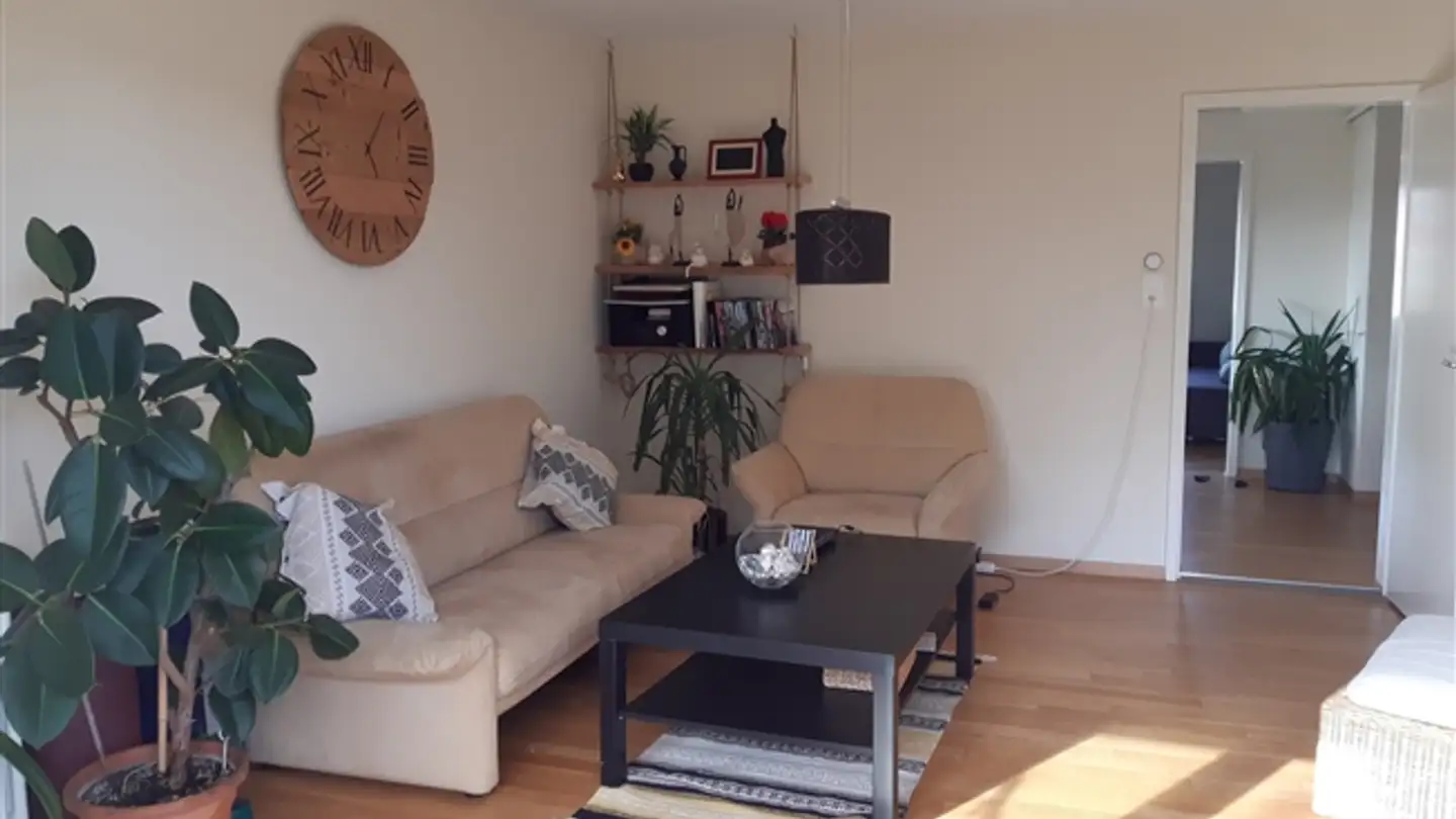 Appartement meublé à louer - 8610 Uster - Photo 2