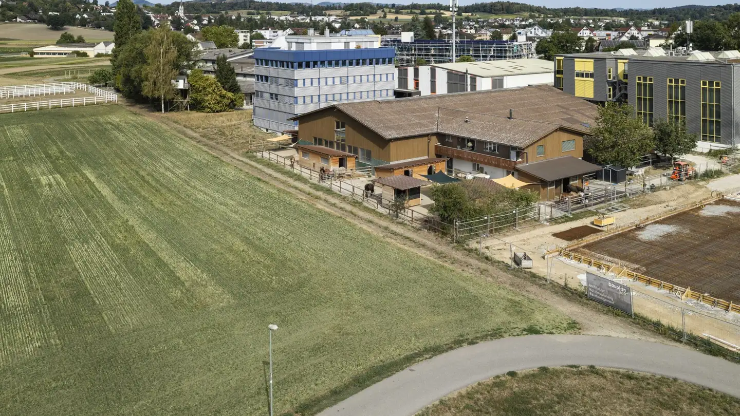 Riding hall for sale - Industriestrasse 23, 5507 Mellingen - Photo 3