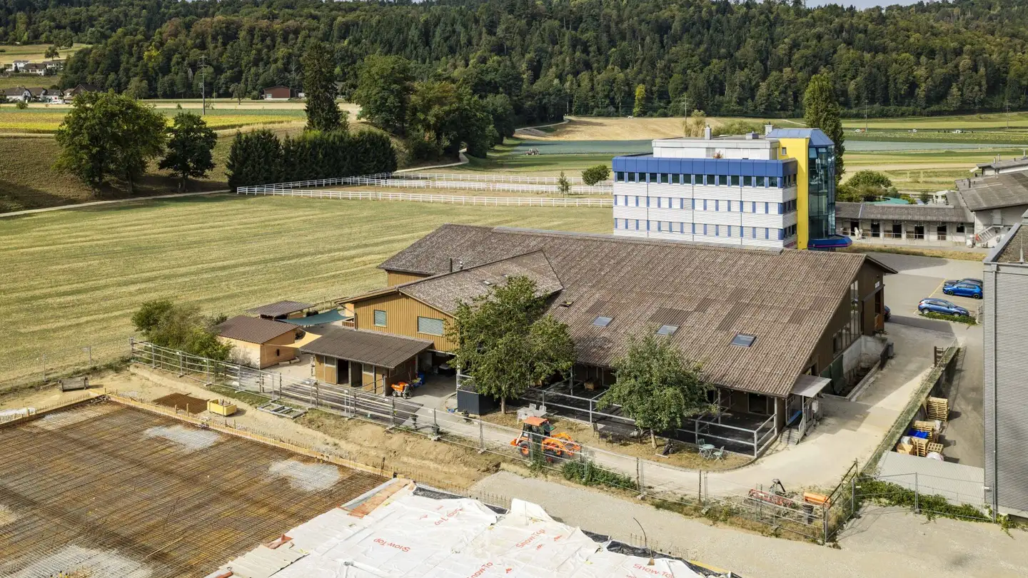 Riding hall for sale - Industriestrasse 23, 5507 Mellingen - Photo 4