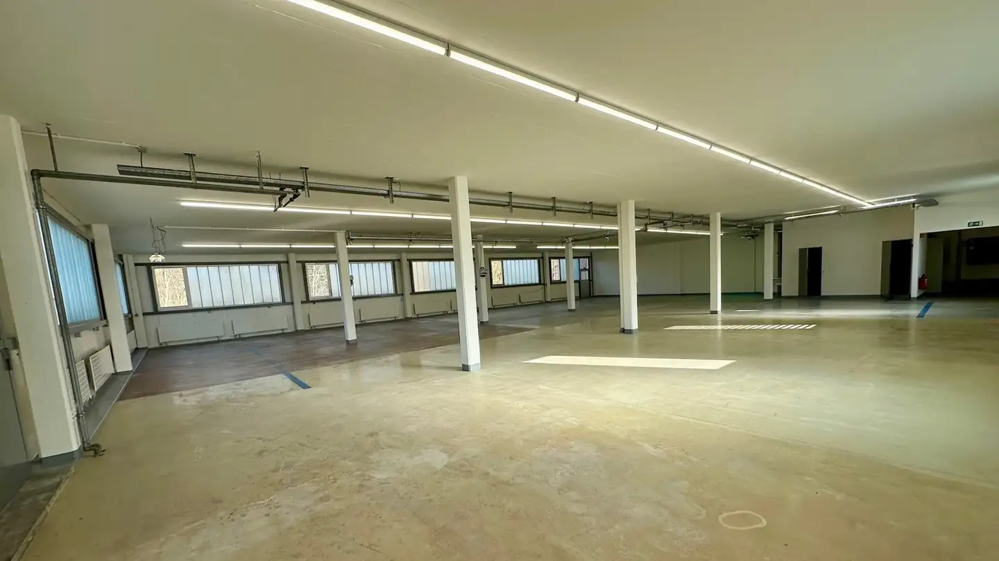 Commercial à louer - Industriestrasse 23, 8962 Bergdietikon