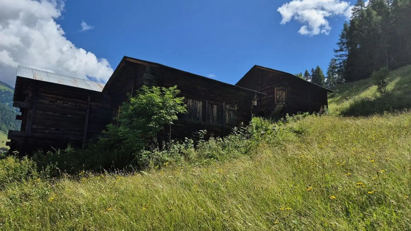 Landwirtschaftsbetrieb kaufen - 3989 Blitzingen - Foto 2