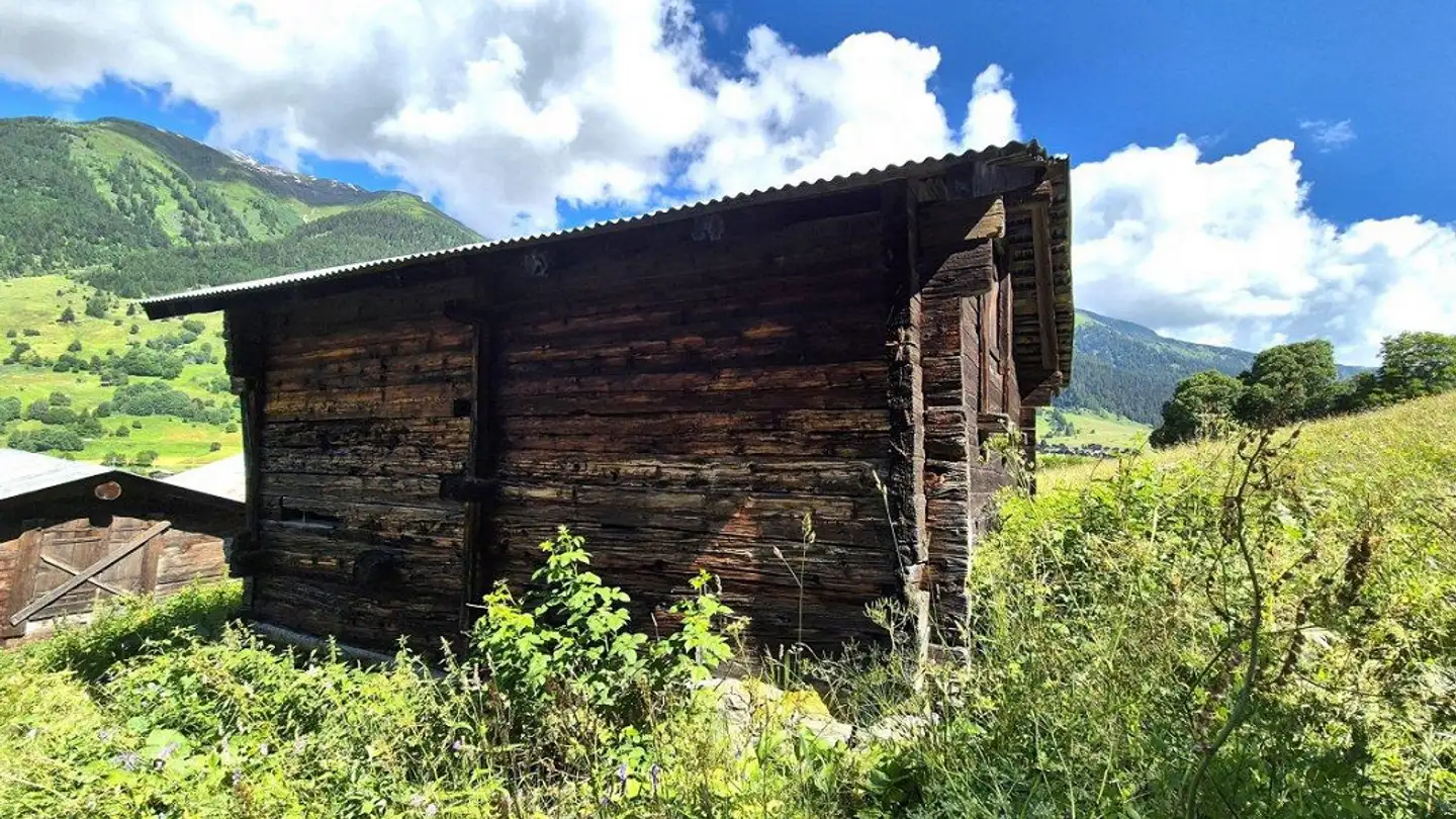 Landwirtschaftsbetrieb kaufen - 3989 Blitzingen - Foto 3