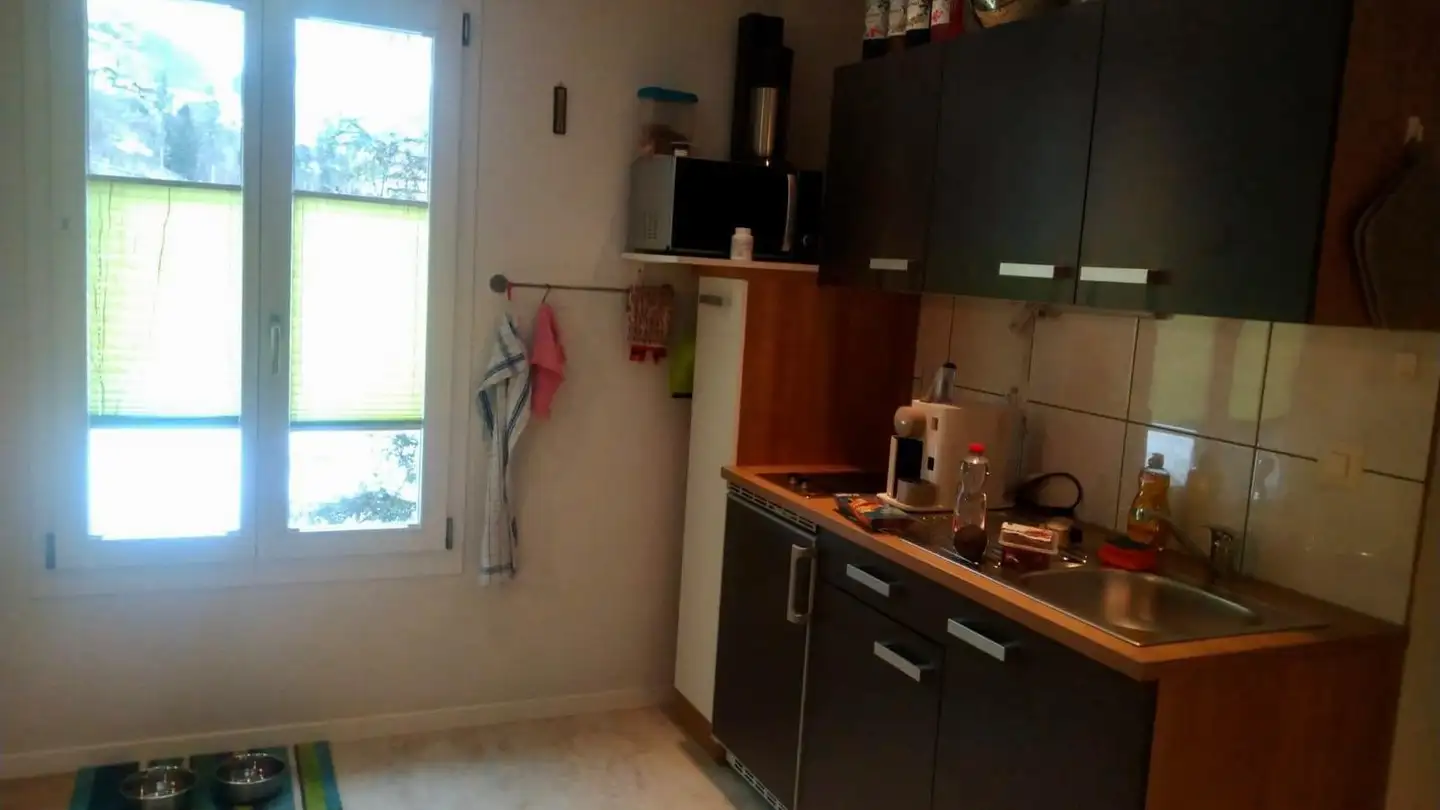 Apartment for rent - Bahnhofplatz 20, 6482 Gurtnellen - Photo 2