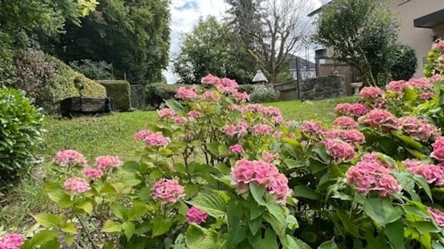 Einfamilienhaus mieten - 8953 Dietikon
