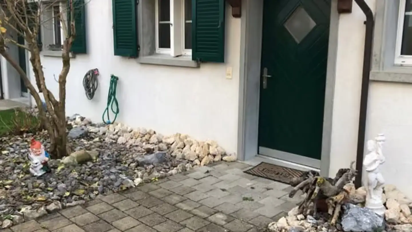 Maison individuelle à louer - Haberholzstrasse 4d, 8155 Nassenwil - Photo 2