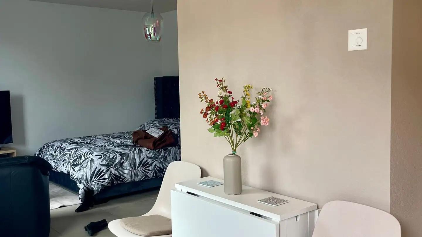Apartment for rent - Rue Du Rocher 28, 2000 Neuchâtel