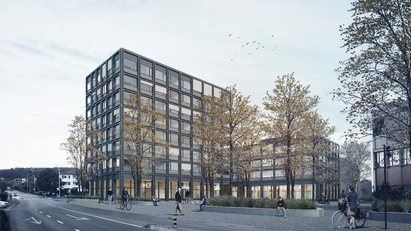 Wohnung mieten - 8964 Rudolfstetten