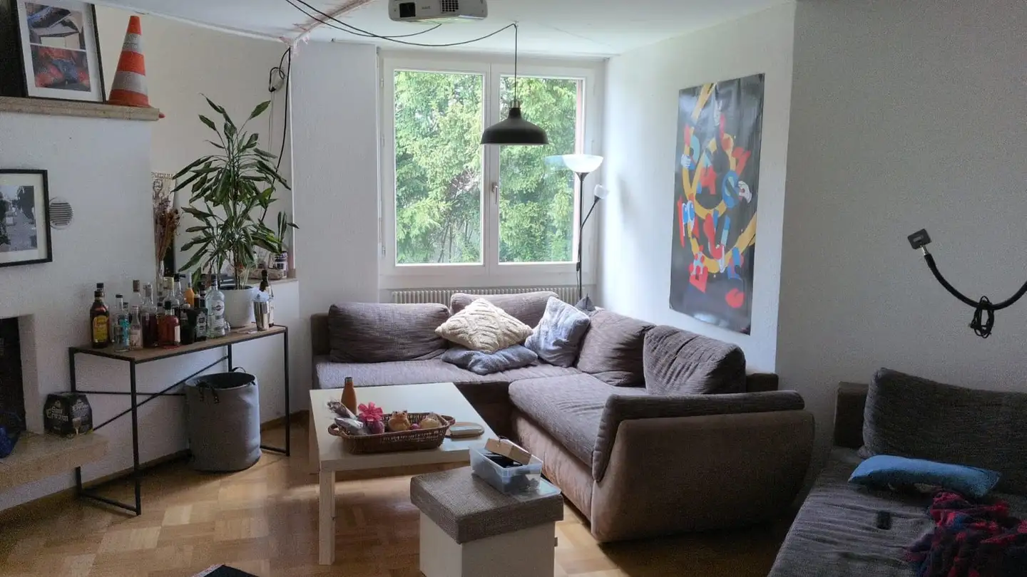 Chambre à louer - Wylandstrasse, 8400 Winterthur - Photo 3
