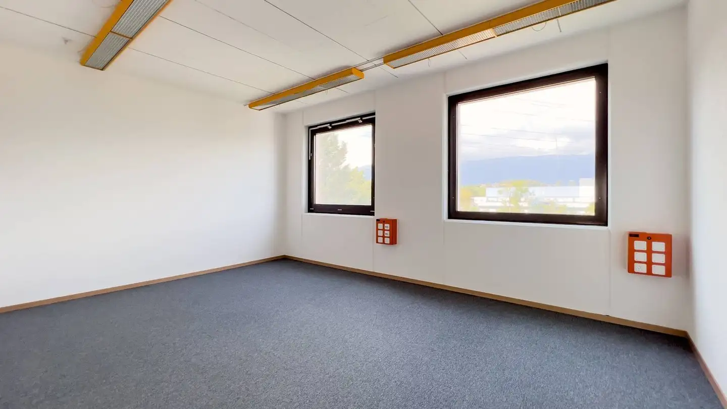 Commercial à louer - Rue Du Pré-De-La-Fontaine 19, 1242 Satigny - Photo 4