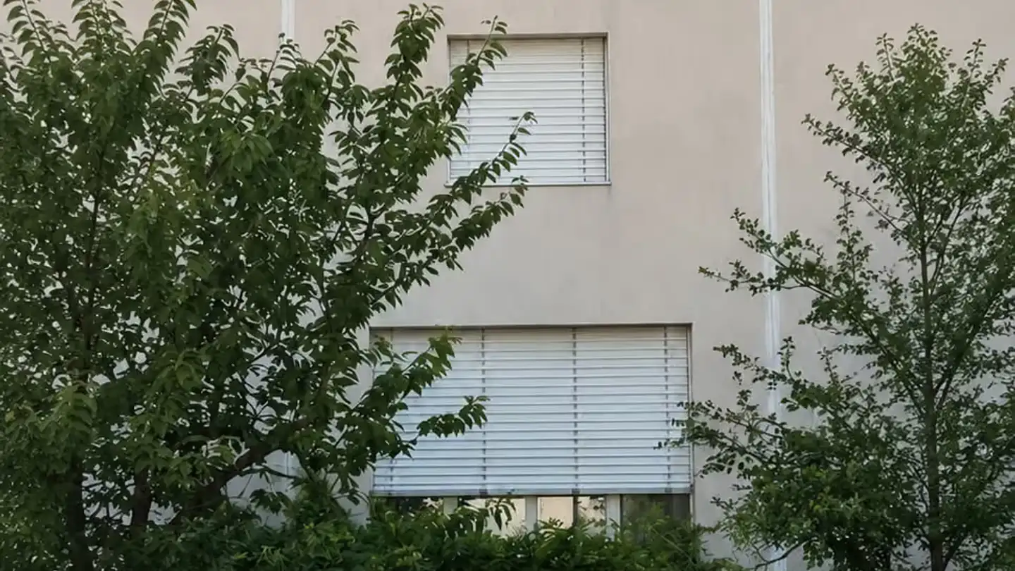 Reihenhaus mieten - Narzissenweg 11b, 4123 Allschwil