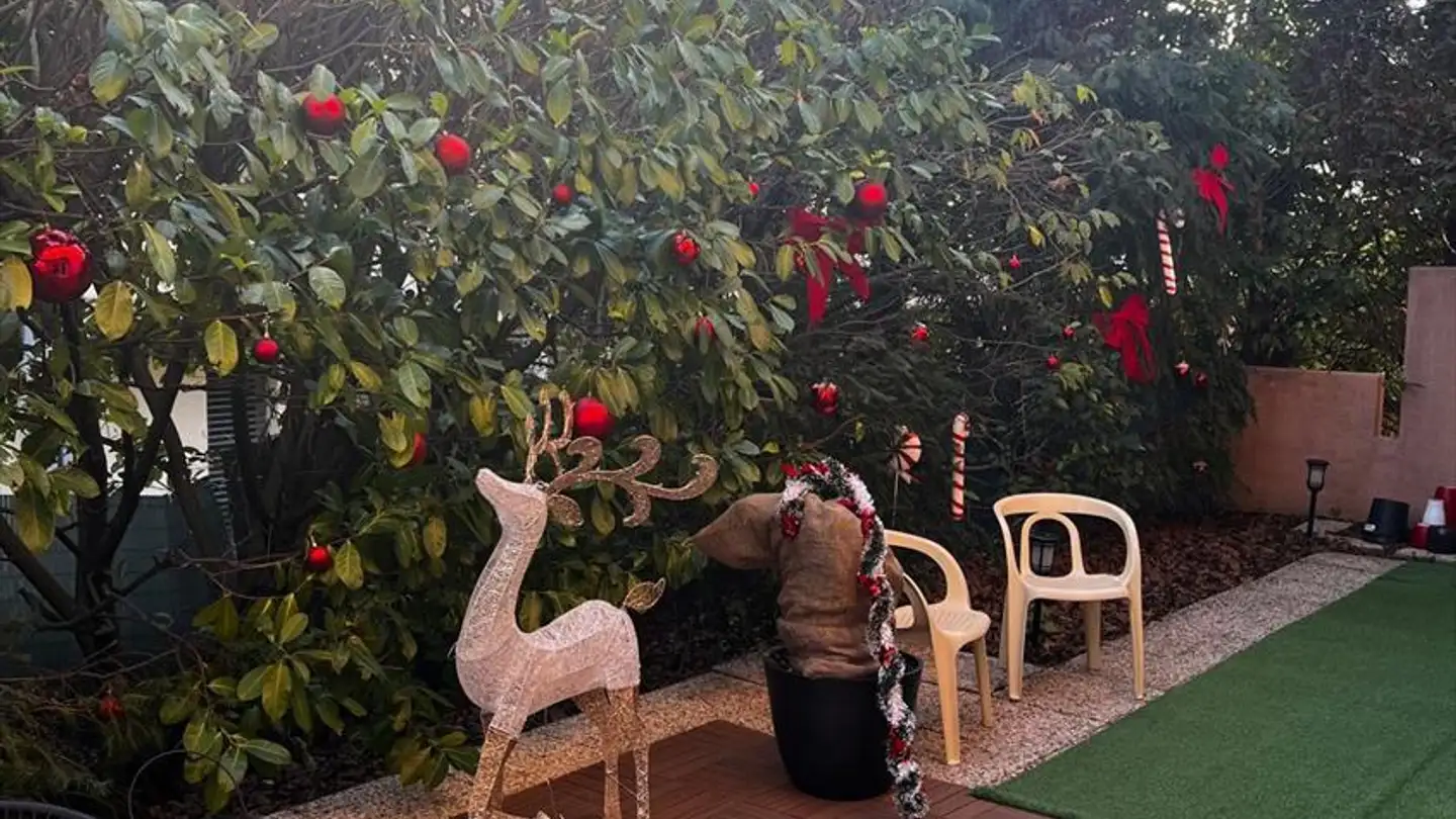 Wohnung mieten - 1290 Versoix