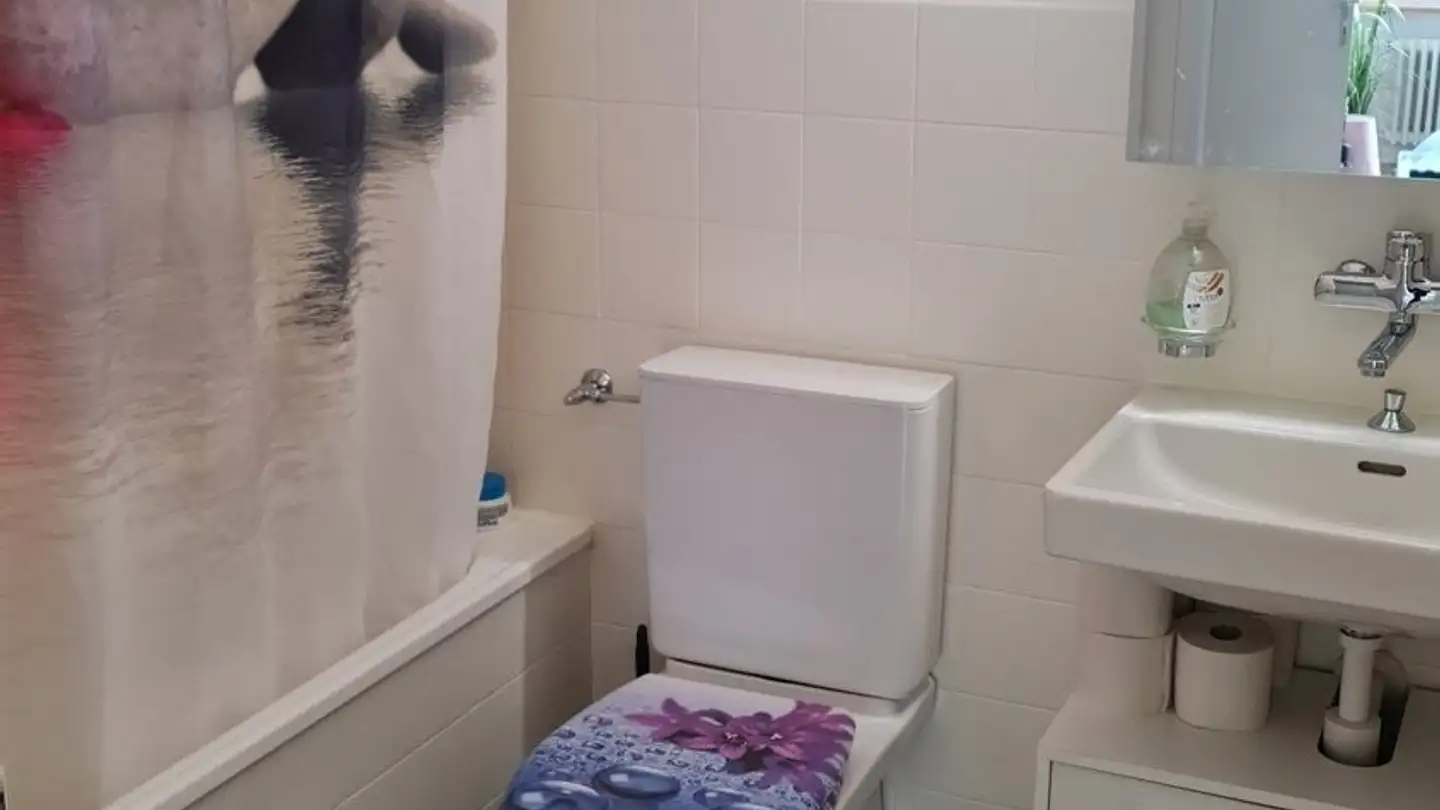 Stanza singola in affitto - Bahnhofplatz 5, 8487 Rämismühle - Photo 4