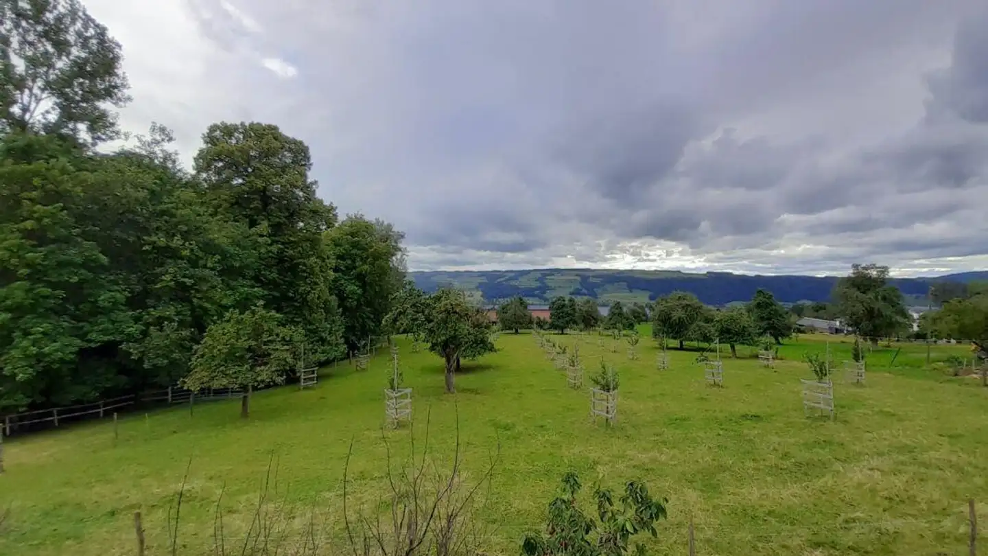 Apartment for rent - Sonnegg 4, 6284 Sulz LU - Photo 2