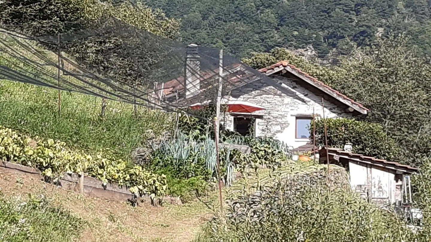 Casa singola in vendita - 6571 Indemini - Photo 2