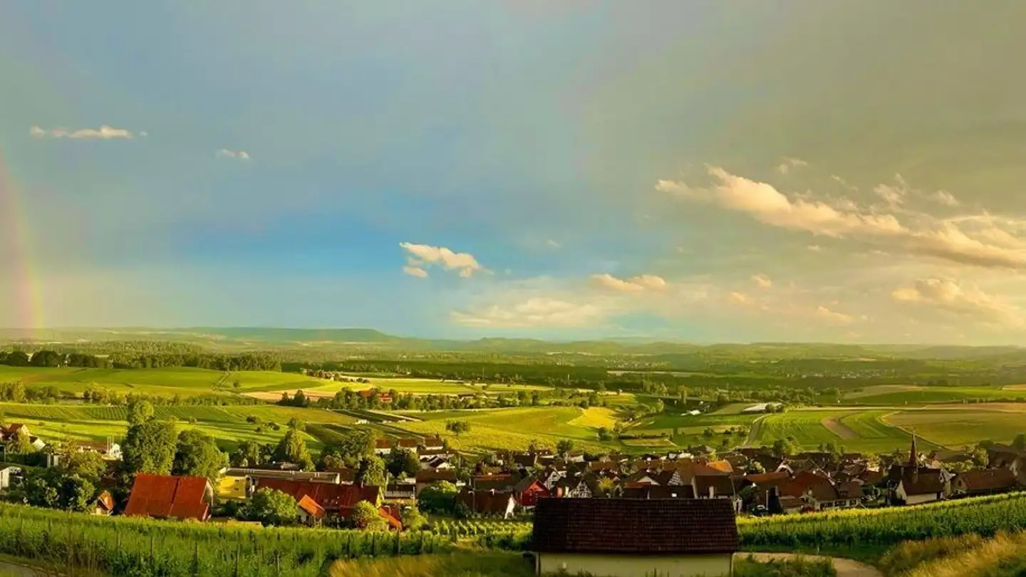 Maison individuelle à vendre - Chlosterbergstrasse 57d, 8248 Uhwiesen - Photo 3