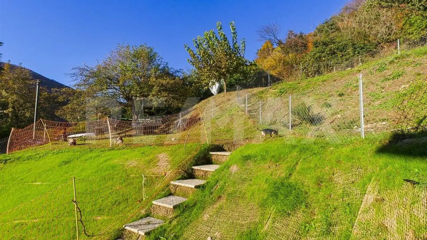 Appartamento in vendita - Strada Ai Boschi 46, 6991 Neggio - Photo 4